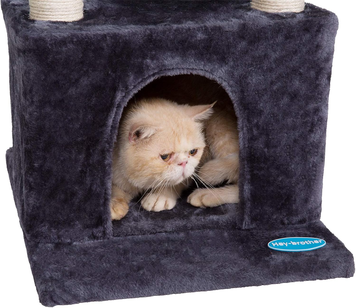 Hey-brother 37.8 inches Medium-Size Cat Tree for 3 Cats Use with Luxury Condo, Cat Tower with 2 Padded Plush Perches and 2 Cozy Baskets, Smoky Gray MPJ006G : Pet Supplies