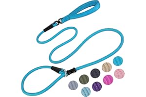 MOTAITY Slip Lead Dog Leash(6ft)，Strong Nylon Rope Leash Anti-Choking Anti-Pull and Outdoor Walking Training Lead for Small Medium Large Dogs (Blue, 1/2"×6ft)