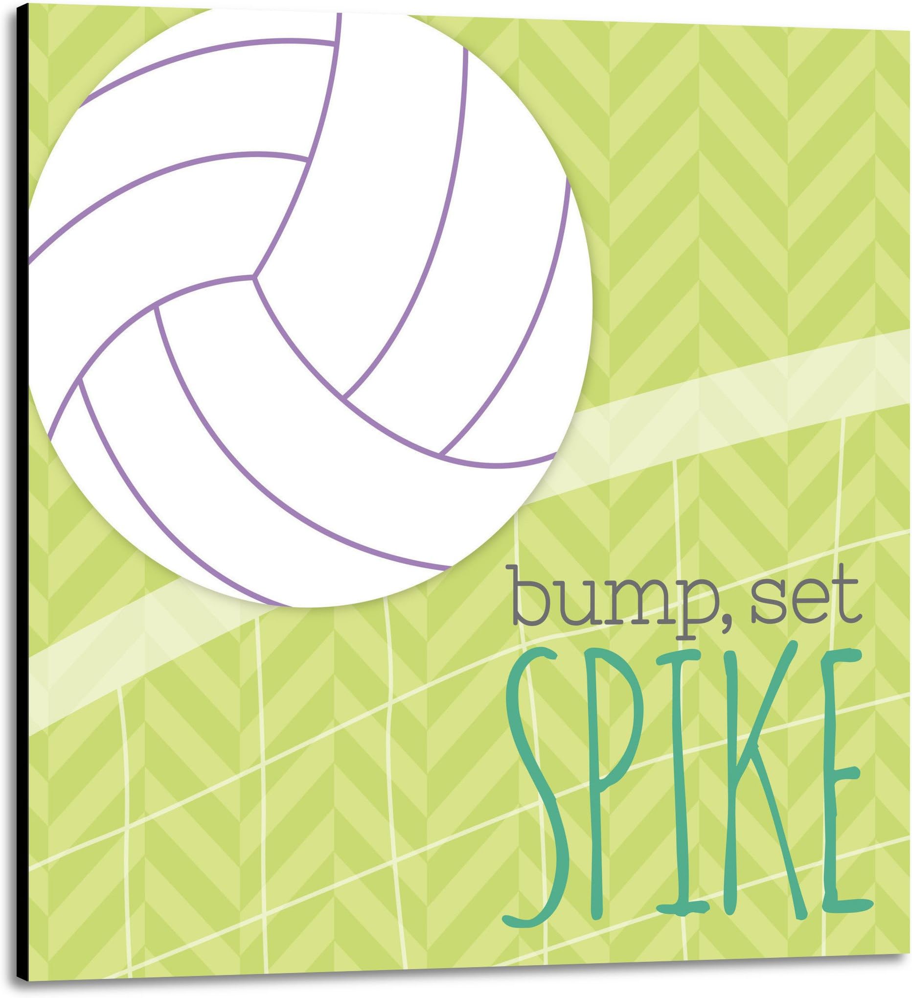 Canvas Kudos Signable Canvas for All Occasions, Volleyball