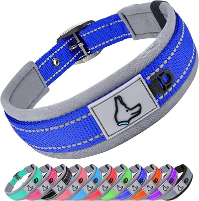 Joytale Reflective Small Dog Collar Navy Neoprene Padding Heavy Buckle