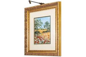 SITU ART LIGHTING Situ Lighting: Cordless and Rechargeable LED Art and Picture Light - Rechargeable Micro Series - 3000K - USA Made