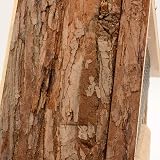 CKB LTD Large Natural Wood Bark Insect Bug Hotel for Bees & Ladybirds view 3