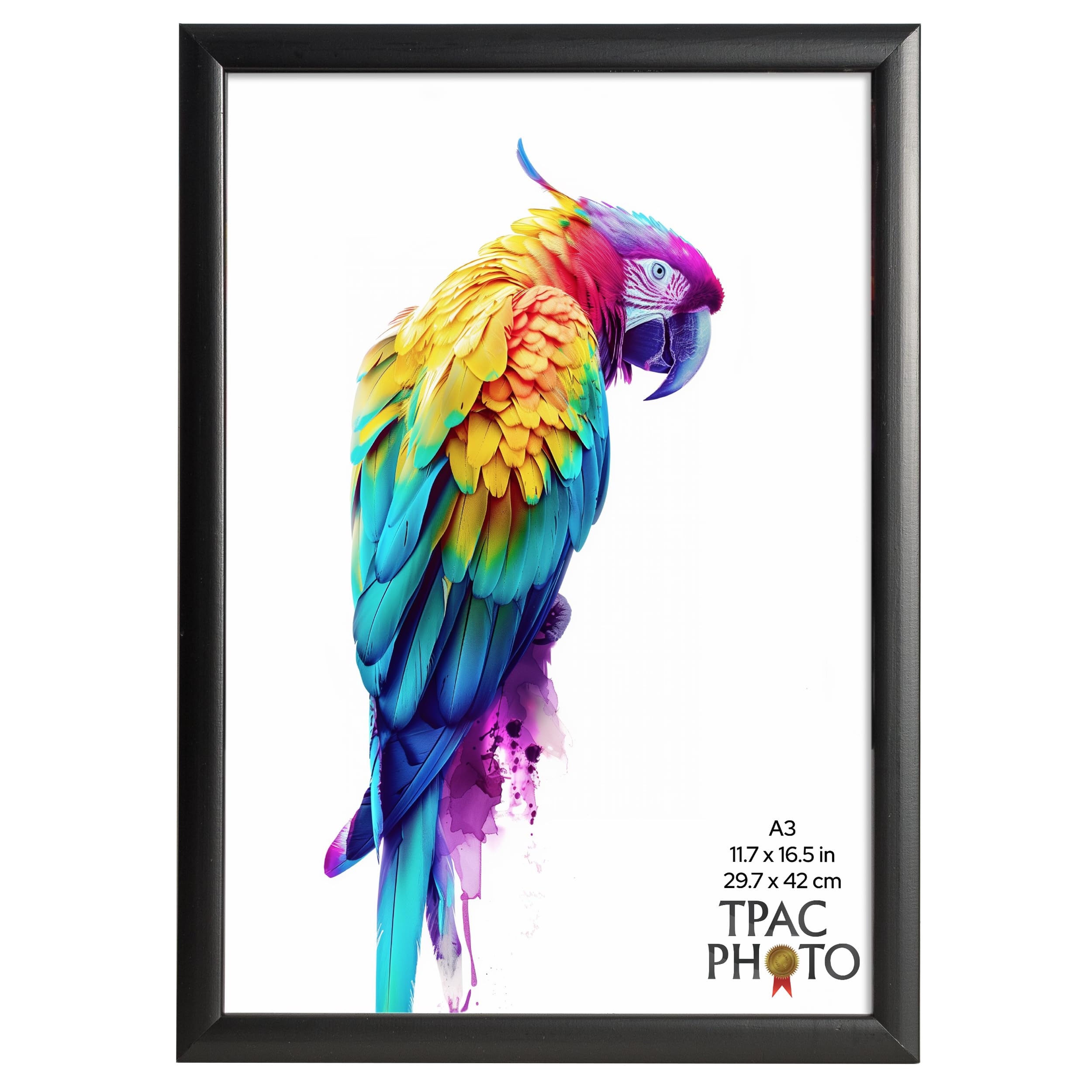 The Photo Album Co SHERWOOD A3 (30x42cm) Black Photo Frame Acrylic (Non Glass) Pack of 1