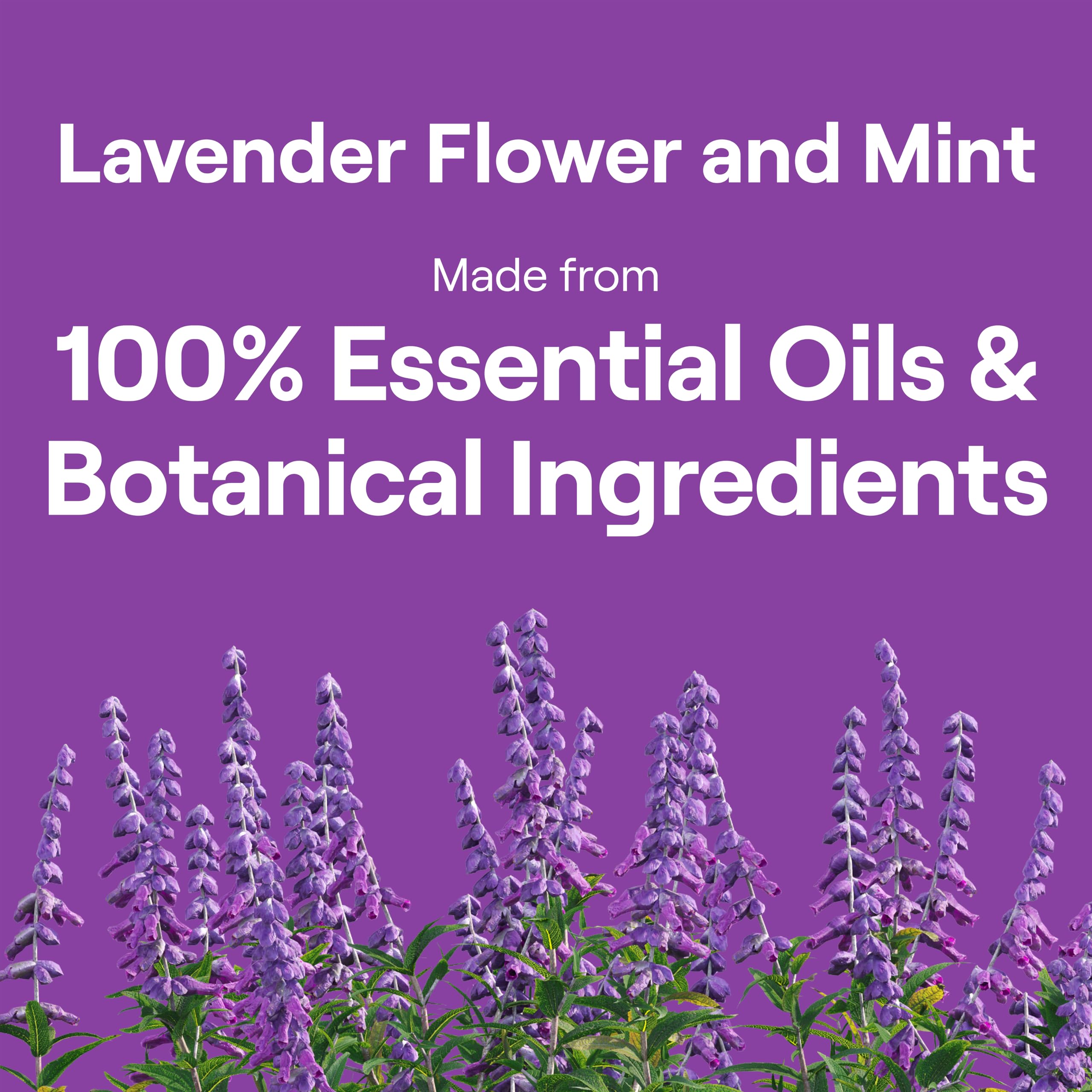 Seventh Generation Hand Dish Wash Refill, Lavender Floral & Mint, 3pk 50z