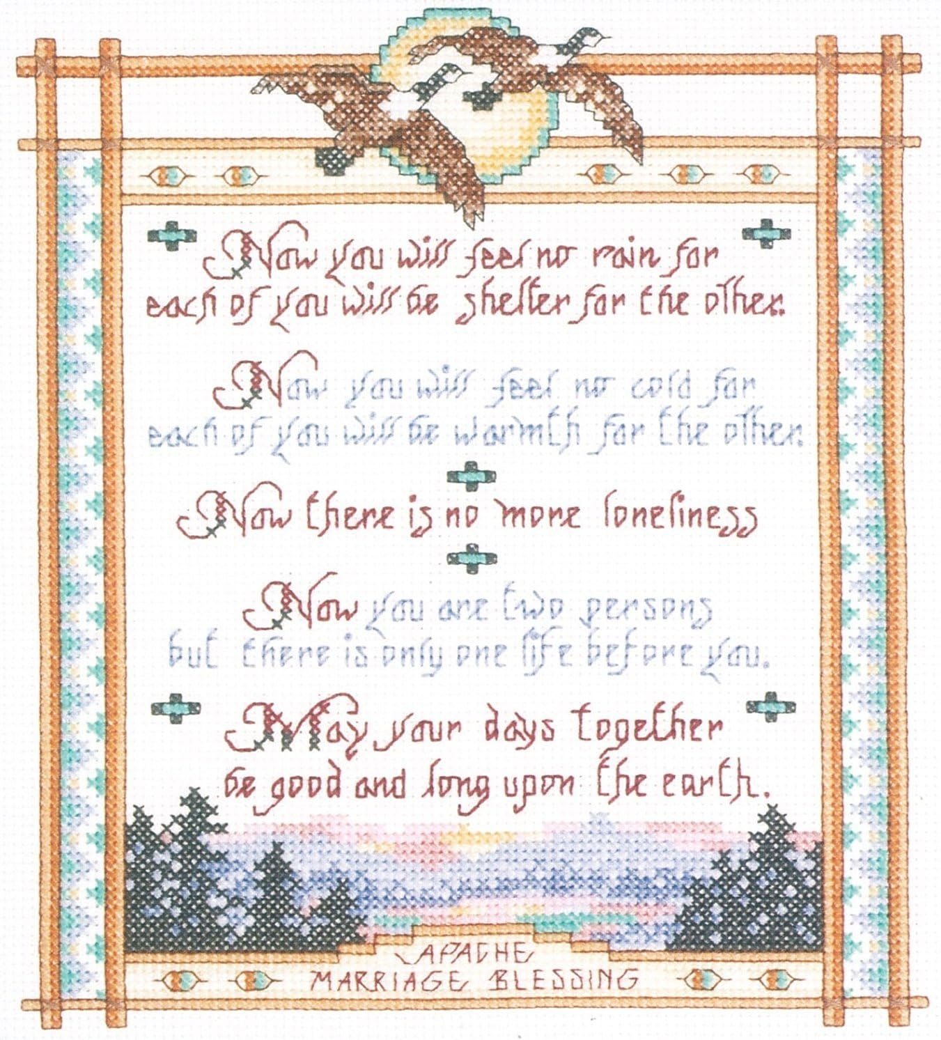 Janlynn Apache Wedding Blessing Counted Cross Stitch Kit, 15 x 14 Inch
