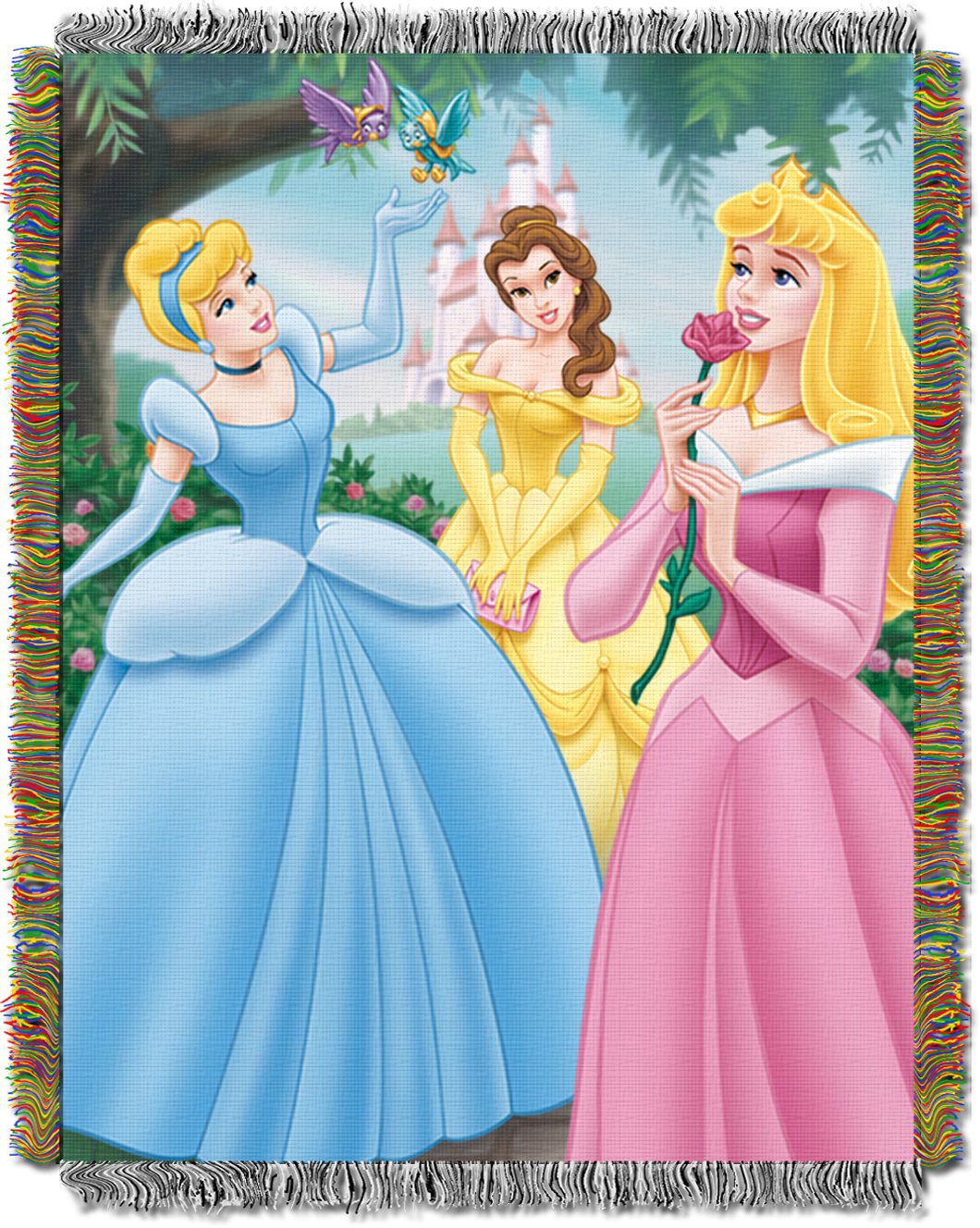 Northwest Disney's Princesses, Walk in the Park Acrylic Tapestry Throw Blanket, 48" x 60", Multi Color