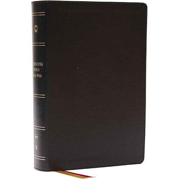 NKJV, Single-Column Reference Bible, Verse-by-verse, Black Bonded