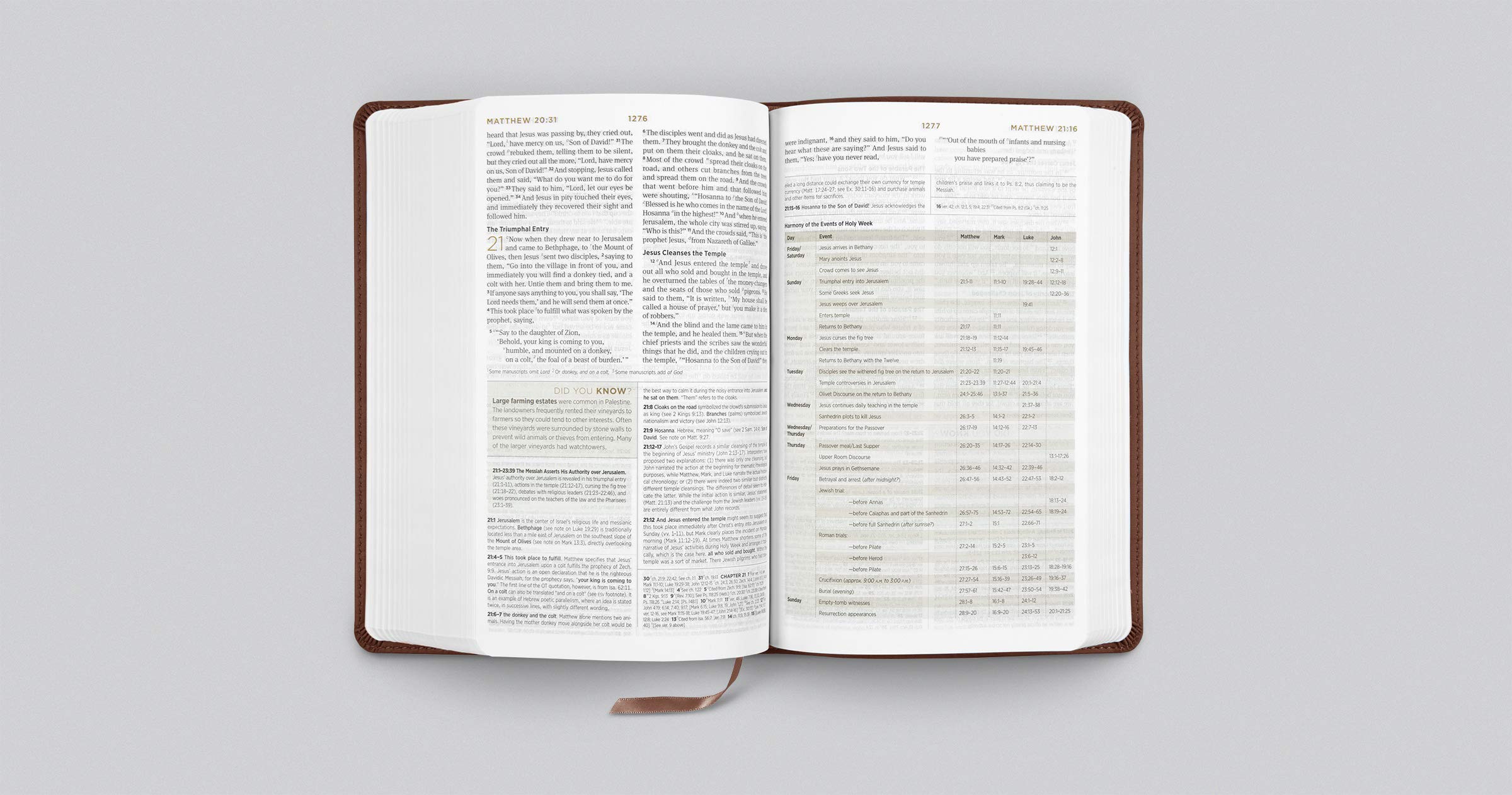 ESV Student Study Bible (TruTone, Chestnut) ESV Student Study Bible (TruTone, Chestnut) Imitation Leather