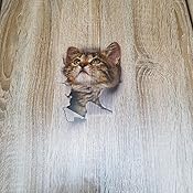 INGJIA 9-teiliges 3D Katzen Wandtattoo Set - Niedliche Aufkleber Für Badezimmer, Fenster & Wände