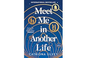 Meet Me in Another Life: A Novel