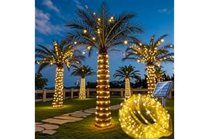 HONCHE Solar Rope Light 33FT 100L IP65 Weatherproof Outdoor LED Copper Fairy String Tube Lights for Party Garden Porch Yard Home Wedding Vacation Daily Holiday Tree Decoration Lighting (Warm White)
