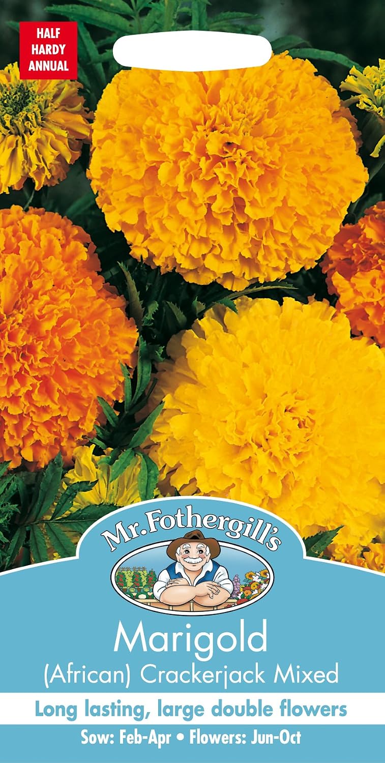 Mr Fothergill?s Seeds Ltd 24949 Flower Seeds, Marigold (African) Crackerjack Mixed