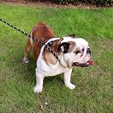 TagME Slip Lead for Dogs 1.8m Reflective Padded Handle Training Leash Black view 6