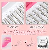 LLBA LashFolio Promade Fans Volume Eyelashes 5-10D C CC D 0.03-0.07mm 8-15mm view 6