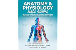 Anatomy & Physiology Made Simple: A Beginners Guide to Understanding the Human Body Fast | Easy Explanations, Clear Summaries