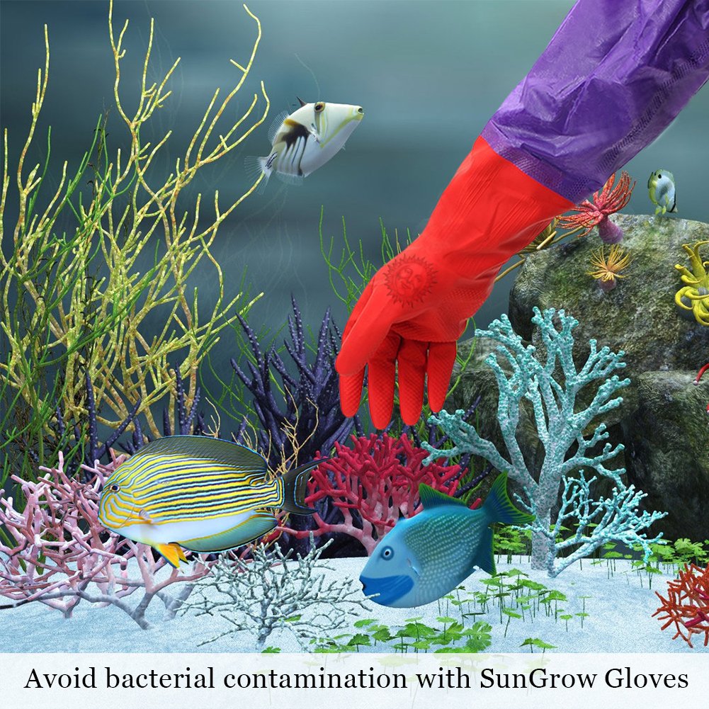 2 Aquarium Water Change Gloves by SunGrow (20\