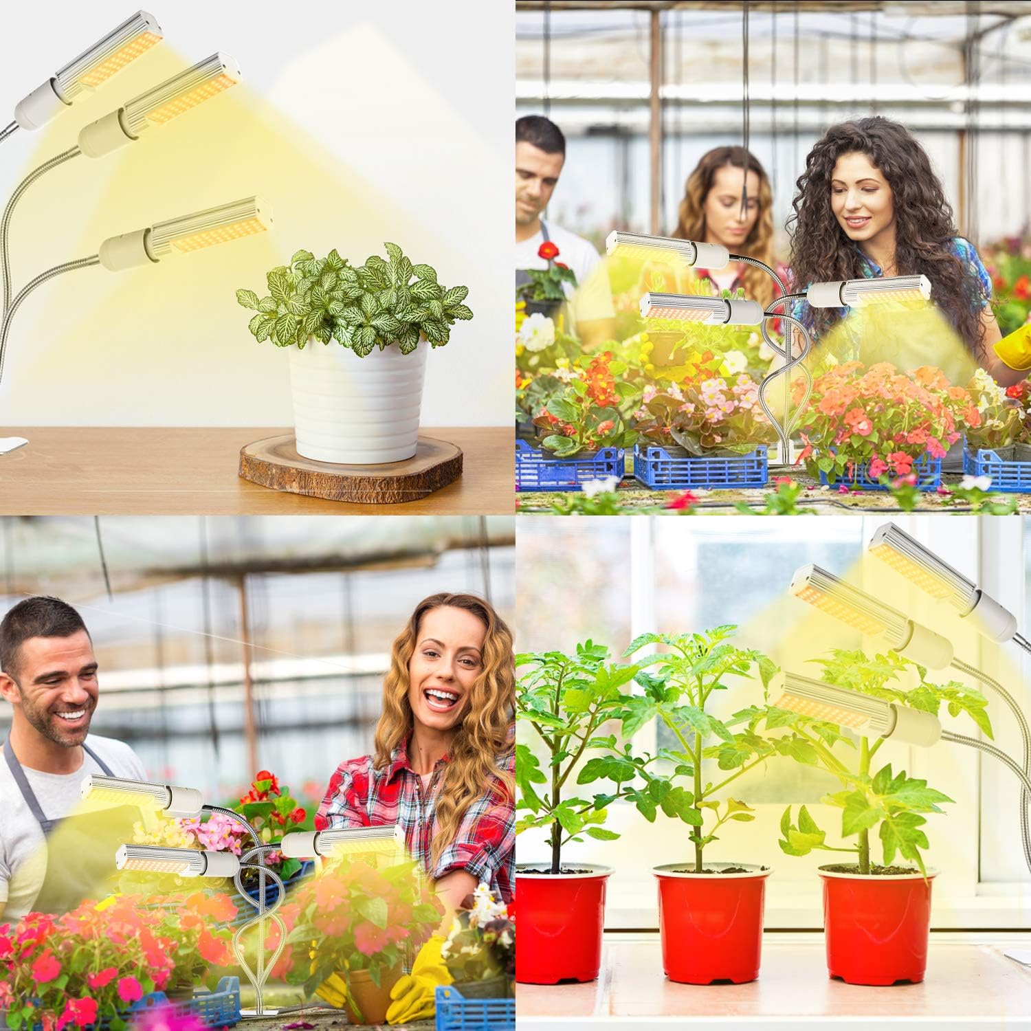 Grow Lights for Indoor Plants Full Spectrum, Elaine 132W Auto ON/Off Plant Grow Light 3/6/12H Timing Function Sunlike Clip On Grow Light Lamp for Succulents and Seed Starting : Garden & Outdoor