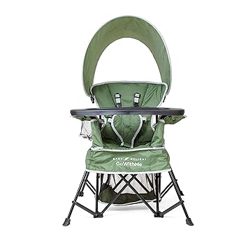 baby delight portable chair