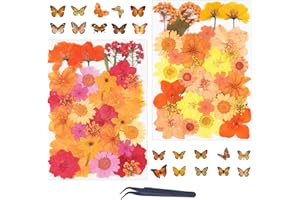 81Pcs Dried Fall Pressed Flowers for Crafts,Xinxinran Dry Flower Kit for Resin Molds,Epoxy Resin Accessories,Bookmark,Nails, Jewelry Molds,Candle Making Supplies,Soap,Frame,Cakes