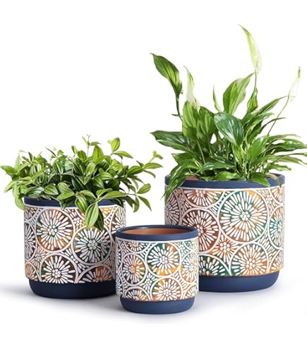 Amazon.com: DeeCoo 3 Piece Ceramic Plant pots Indoor Flower Pots