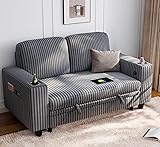 LINSY HOME Loveseat Sofa with Storage - Comfy Plush