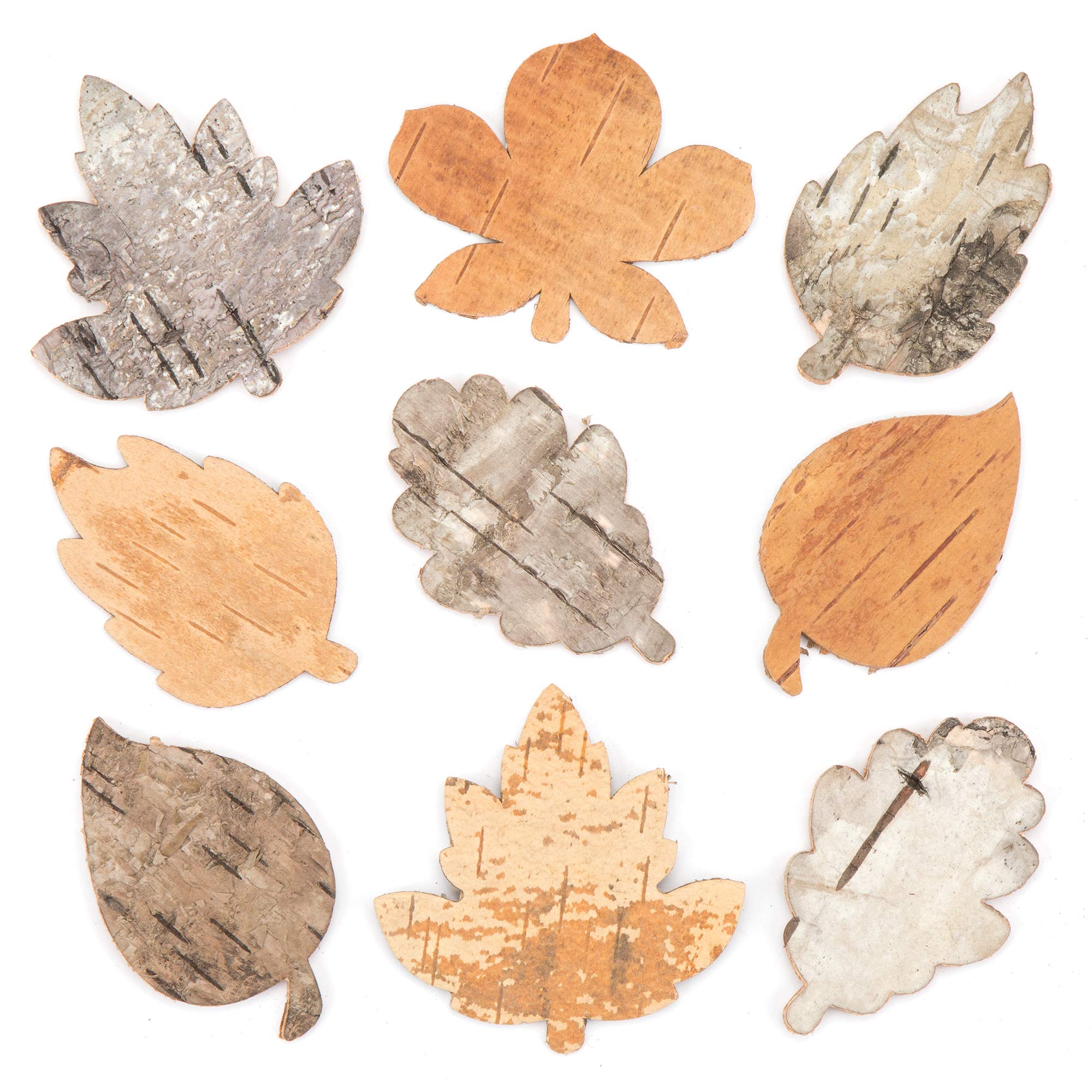 Baker Ross AV887 Real Bark Leaves — ⁠Leaf-Shaped Creative Art Supplies for Kids, Crafts and Decorations (Pack of 30)