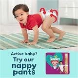 Pampers Premium Protection Size 5 Nappies 152 + Wipes 1 Pack 10 view 9