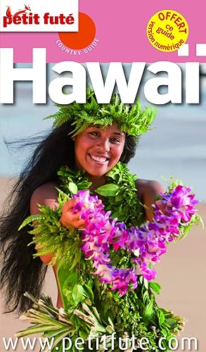 Download Petit Futé Hawaï PDF