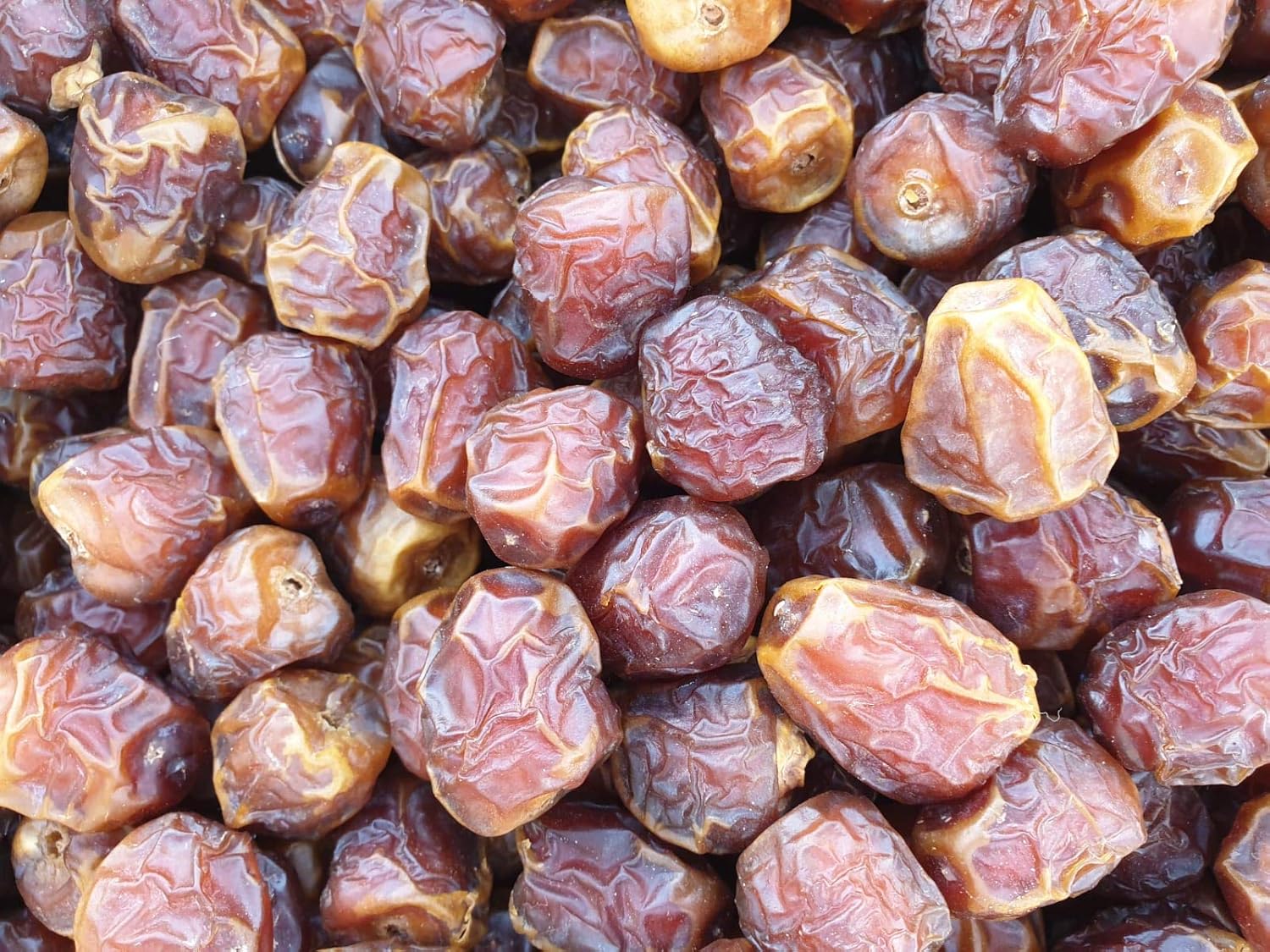 Sukkari Dates 3kg (Dried) Amazon.co.uk Grocery