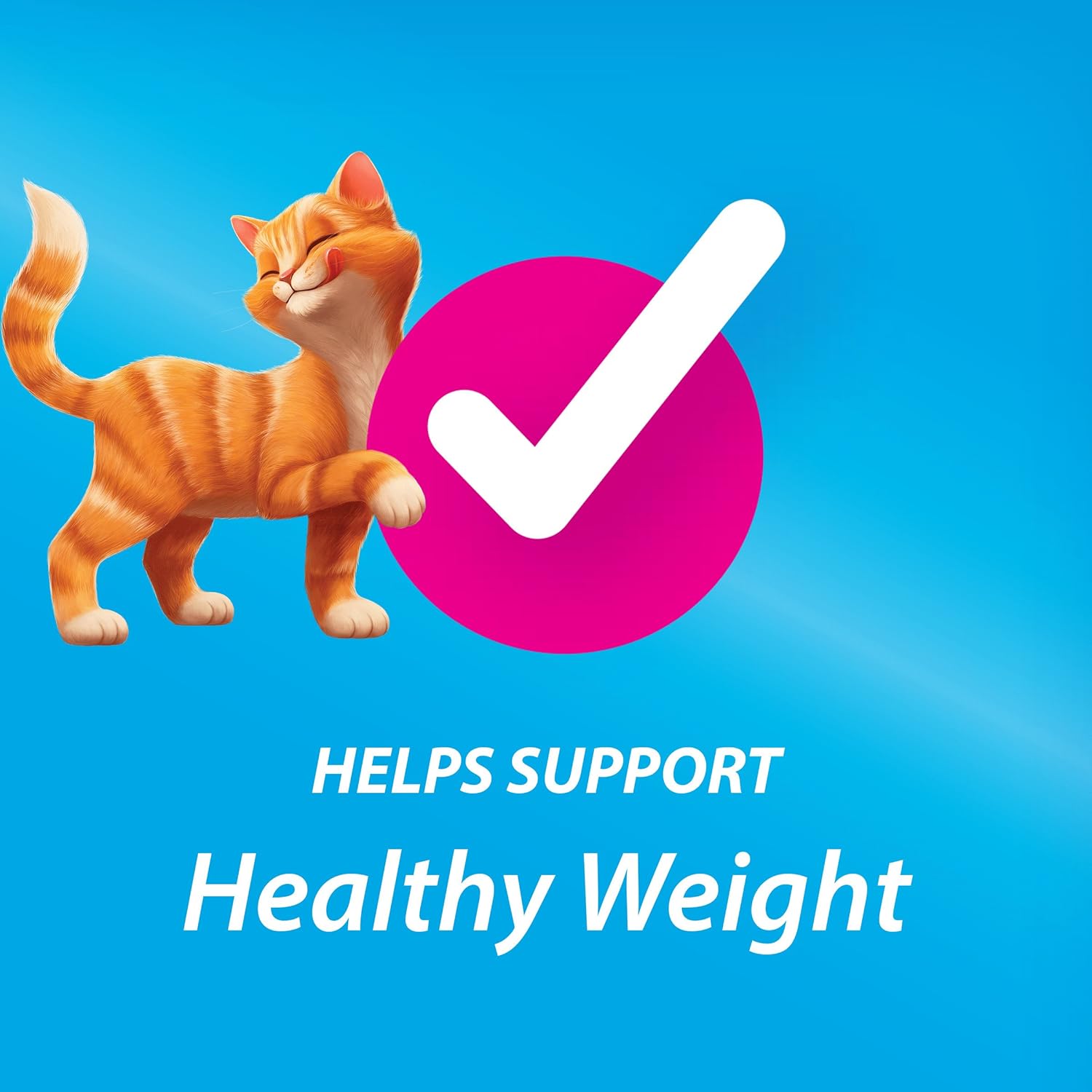 Purina Kit & Kaboodle Indoor Dry Cat Food, Indoor - 16 lb. Bag : Pet Supplies