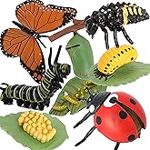 Gemini&Genius Insects Animals Figurine Toys, Butterfly and Ladybug Life Cycle Toy Set- Realistic Education Insects Life Actio