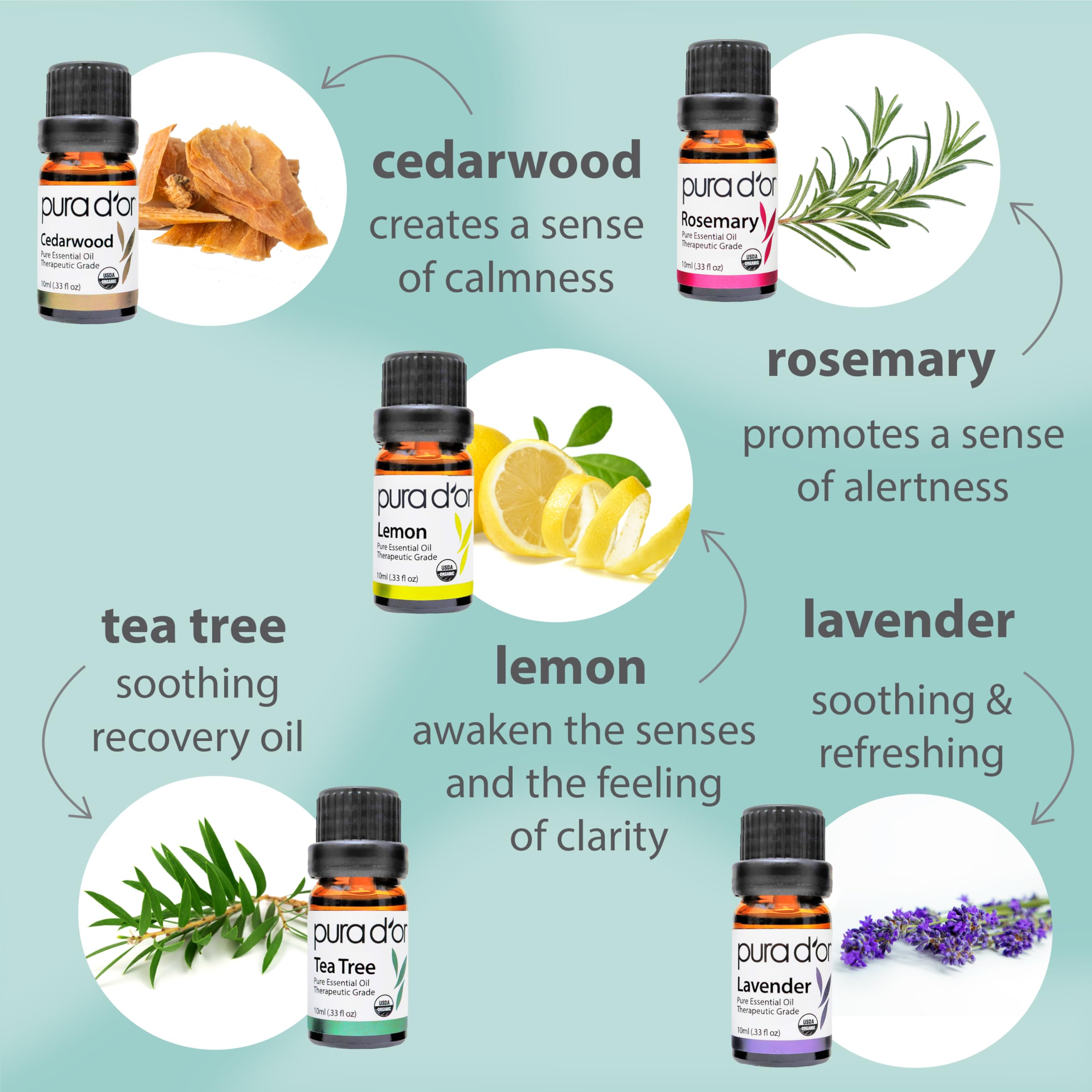 PURA D'OR Organic Perfect10 Essential Oils Set - 10x 10mL Wood Box Aromatherapy Gift Set - 100% Pure Therapeutic Grade for Relaxation and Wellness (Lavender, Peppermint, Eucalyptus, Tea Tree & More)