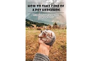 How To Take Care Of A Pet Hedgehog_ A Complete Guide For Beginner Hedgehog Owners: Hedgehog Pet
