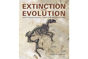 Extinction and Evolution: What Fossils Reveal About the History of Life