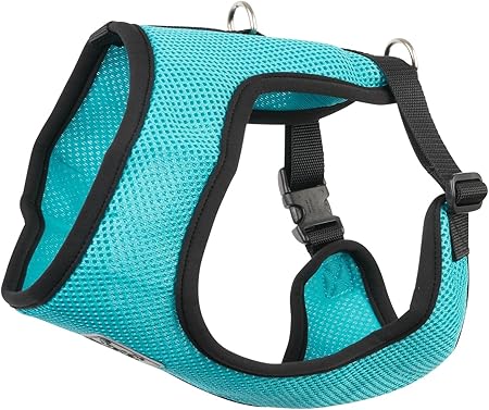 teal dog harness