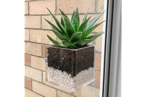 Kurraba Transparent Square Window Suction Cup Plant Pot, Ideal for Indoor Decor