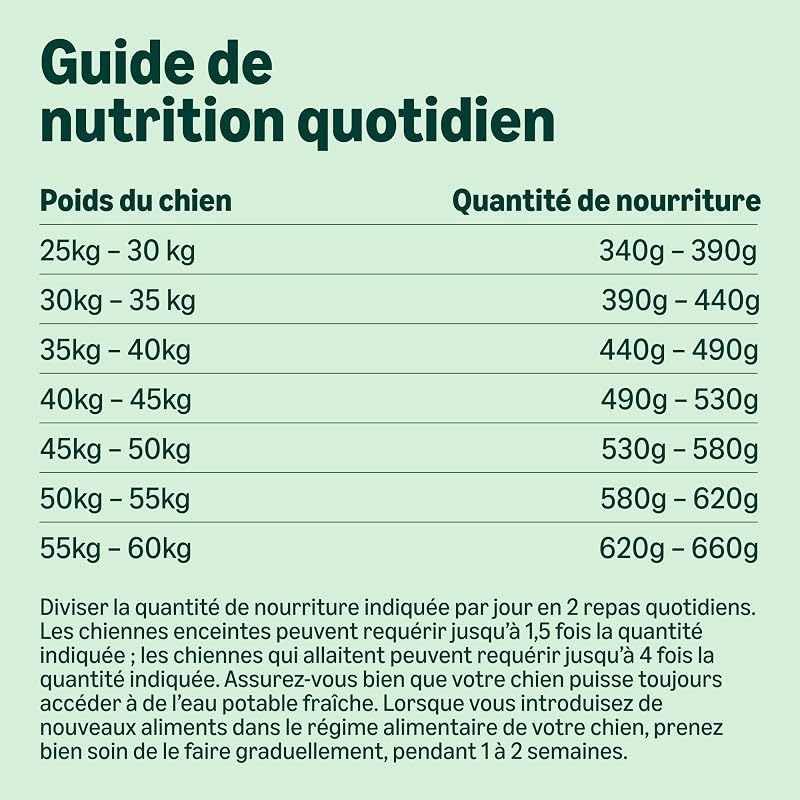 Nourriture sèche Premium pour Chien Adulte Grand Poulet 3 kg 1 Paquet