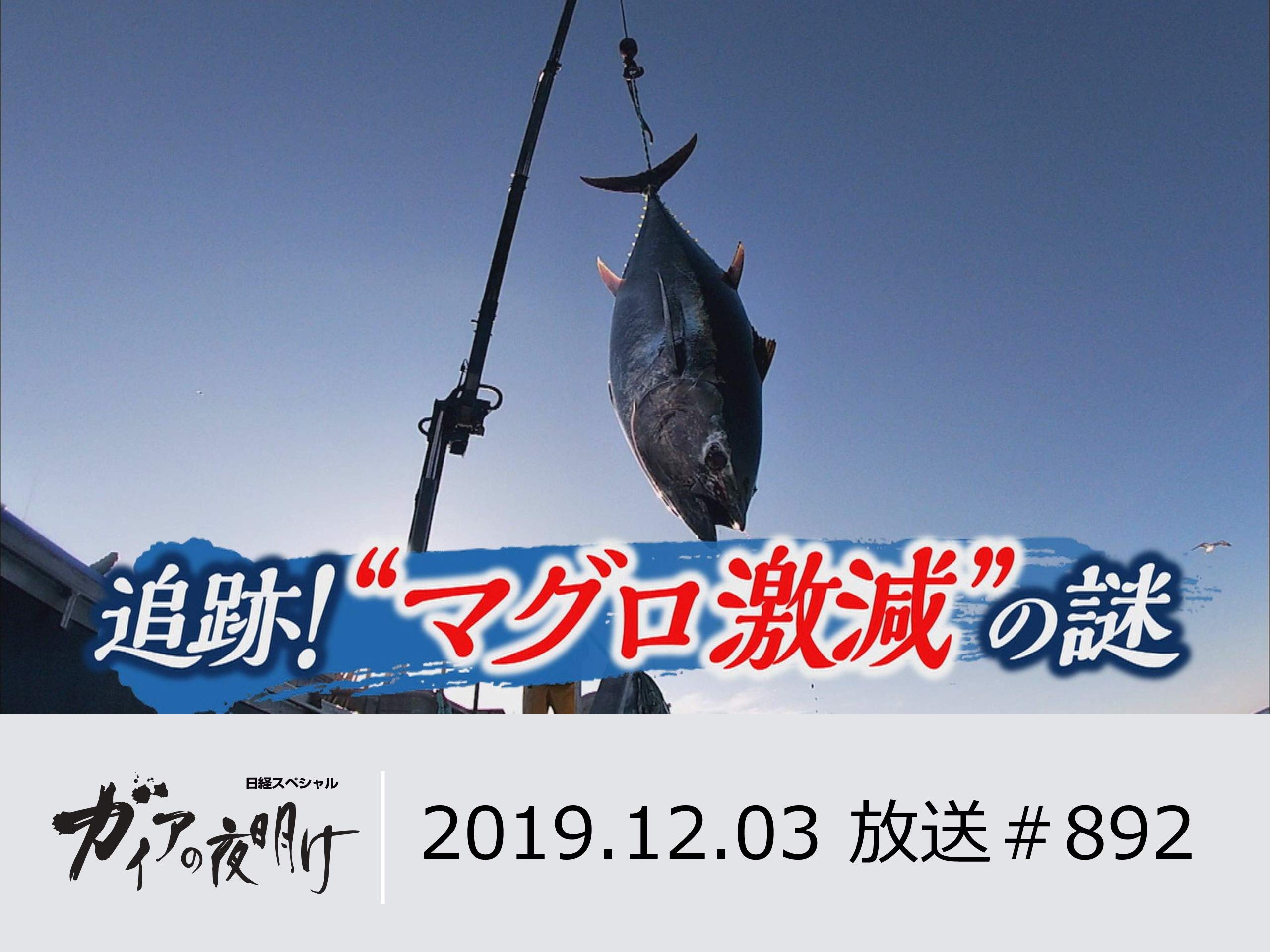 Amazon Co Jp ガイアの夜明け 19年10月 12月 放送分を観る Prime Video