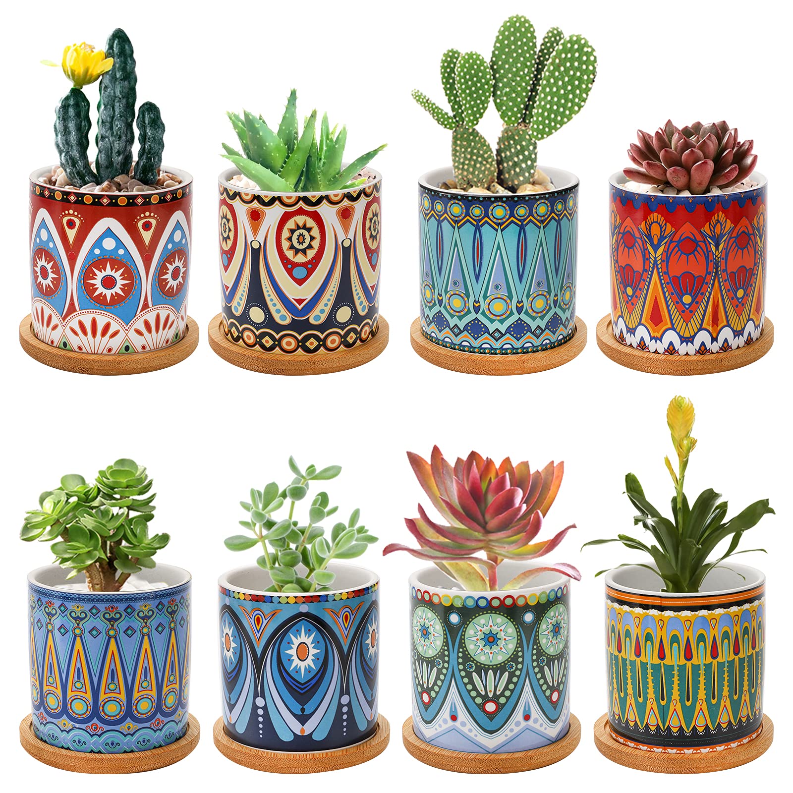 Photo 1 of Kingrol 8 Pack Succulent Pots, Mini Ceramic Flower Planter Pot with Drainage Hole and Bamboo Tray for Cactus, Ferns, Herbs, Jade Plants - Mandala Style, Plants Not Included