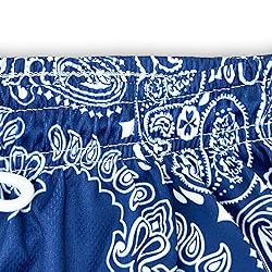 DIOTSR Mens Paisley Graphic Shorts Casual