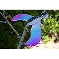 Balancing Bird Toy 6.5 Inch Wing Span-Colors May Vary by C&H Solutions