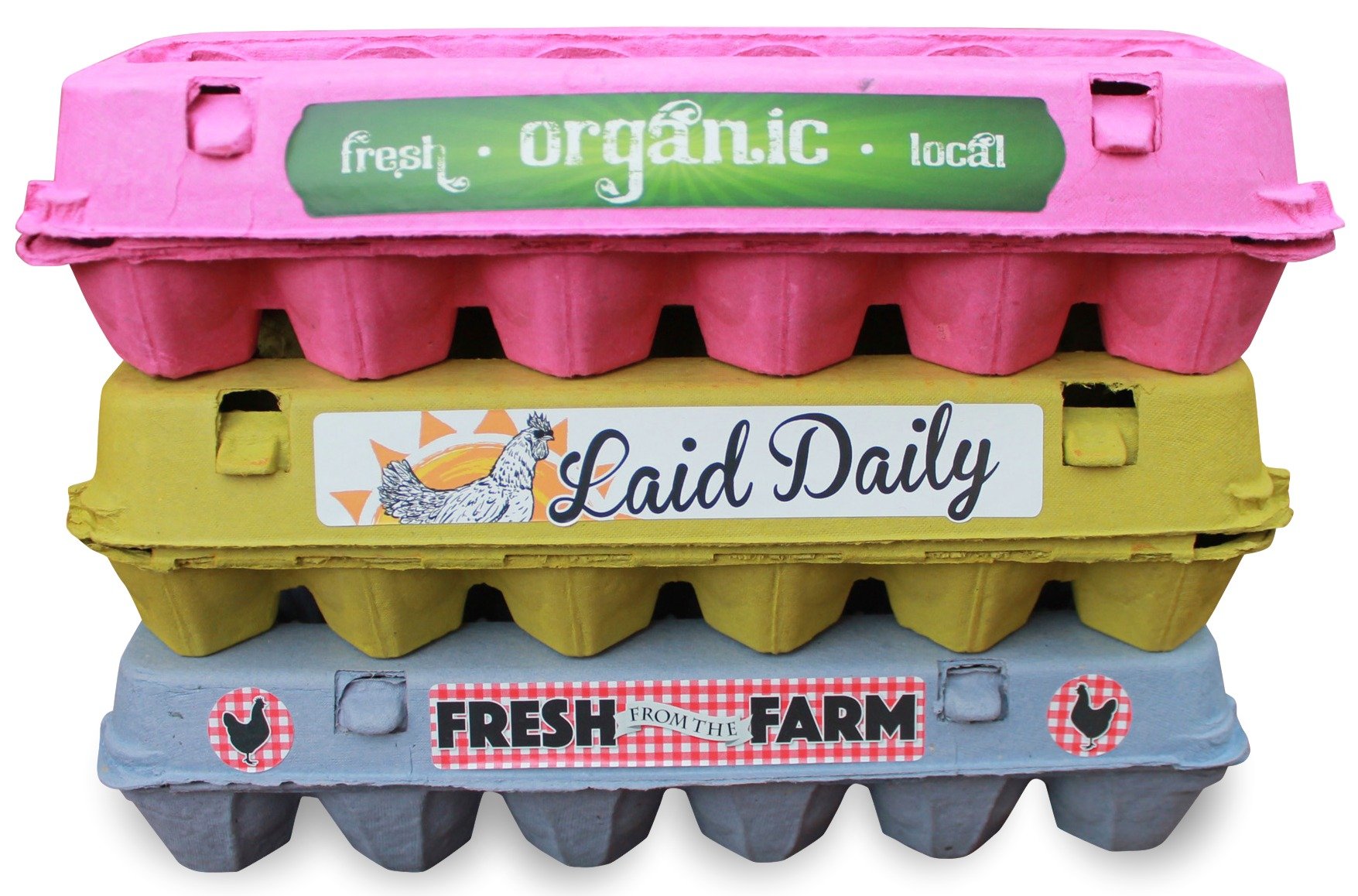 Buy 18 Egg Cartons, Blank Containers With Bonus Egg Carton ...