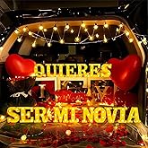 IFNCPF Quieres Ser Mi Novia Light Up Letters Proposing Decorations Set Includes 14 LED Light Letters and 1000 Rose Petals