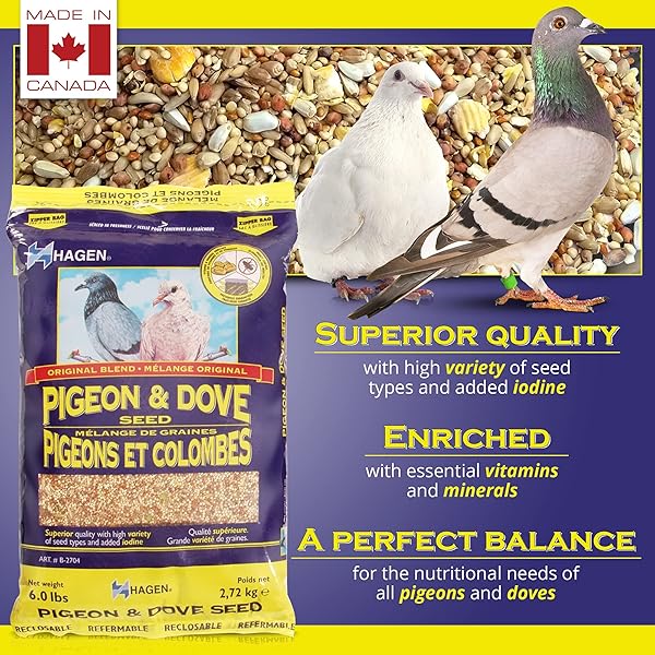 HAGEN PIGEON & DOVE SEED – ORIGINAL FORMULA BIRD FOOD, 6 LB BAG – NUTRITIONALLY COMPLETE SEED MIX WITH VITAMINS & MINERALS – WILD & CAPTIVE BIRD DIET – INSECT-RESISTANT AIR-TIGHT PACKAGING