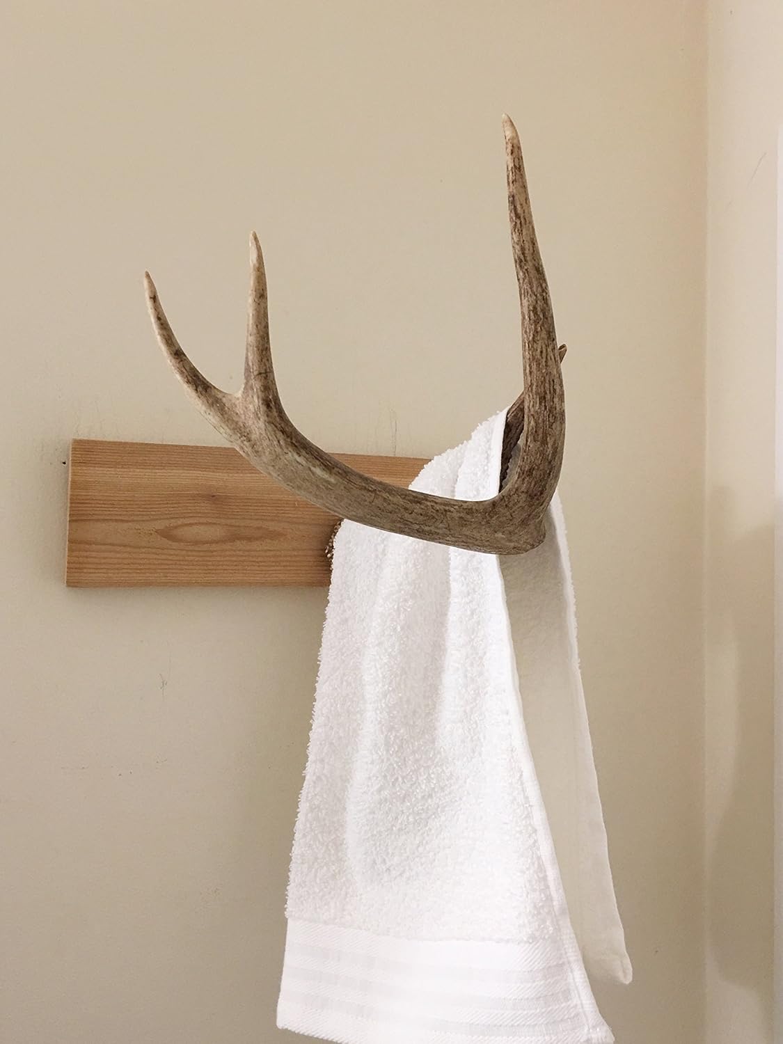 Authentic Deer Antler Holder, Deer Antler Hook, Deer Antler