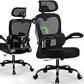 AreShark Office Chair Ergonomic Desk Chairs with Adjustable Lumbar Support& Headrest Hanger, High Back Breathable Mesh Chair with Wheels, Rolling Swivel Comfy Task Computer Chair for Home Work Gaming