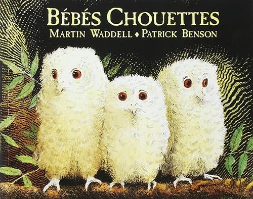 Download Bébés chouettes PDF