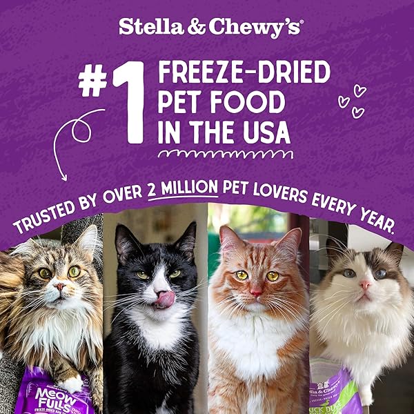 STELLA & CHEWY’S FREEZE-DRIED RAW CAT DINNER MORSELS – PREMIUM SALMON & CHICKEN RECIPE WITH 98% WILD-CAUGHT & CAGE-FREE PROTEIN – NATURAL GRAIN-FREE CAT & KITTEN FOOD – MADE IN USA – 8 OZ