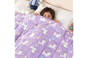 Mr. Sandman 5 lbs Weighted Blanket for Twin Size Bed, Perfect for 40-60lb Breathable Heavy Throw Blankets for Sleeping - 36" 