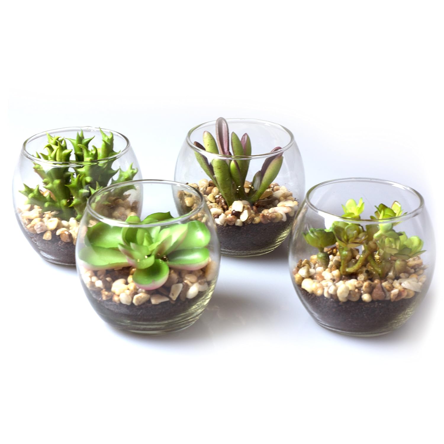 Set Of 4 Mini Artificial Succulent Plants W Round Glass Terrarium